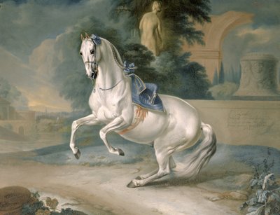 Biały ogier 