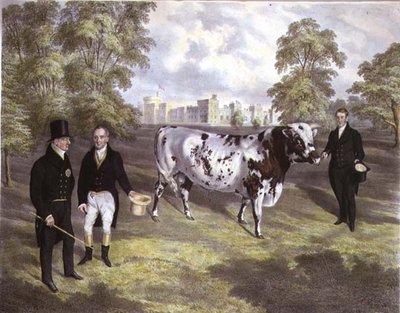 Sir Charles Morgan przedstawiający królowi Wilhelmowi IV byka krótkoroga w zamku Tredegar w Monmouth, ryty przez M. Gauciego autorstwa J.H. (after) Carter