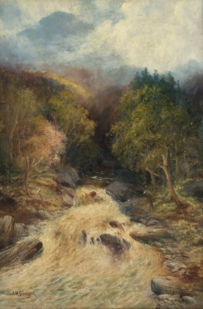 Las górski autorstwa J.H. Stanger