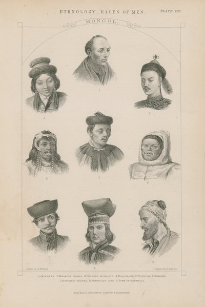 Dziewięć twarzy różnych ras mongolskich autorstwa J.L. Williams