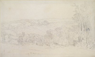 Odległy widok sceny w parku zamkowym Lowther, 1809 autorstwa Joseph Mallord William Turner