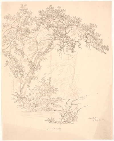 Drzewa autorstwa J.P. Møller