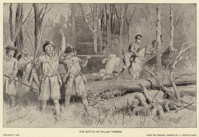 Bitwa o Fallen Timbers (litografia) autorstwa J. (after) Steeple Davis