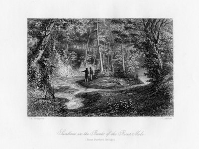 Jaskółki na brzegu rzeki Mole, Surrey, XIX w. autorstwa J. Archer