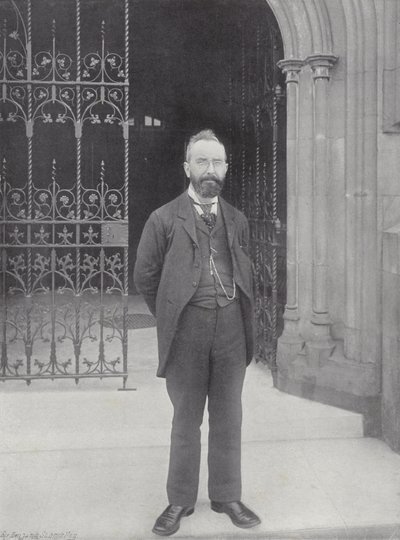 Pan T.M. Healy autorstwa J. Benjamin Stone