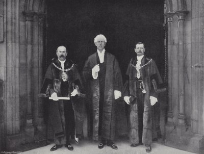 Składanie petycji do Izby Gmin autorstwa J. Benjamin Stone