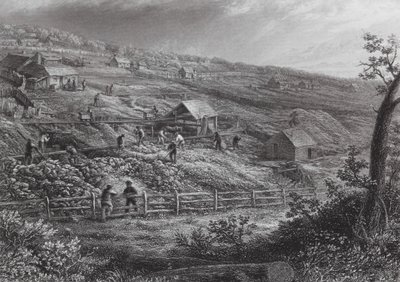 Australia: Concordia Gold Mines (grawerunek) autorstwa J. C. Armytage
