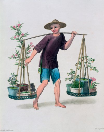 „Porter z drzewami owocowymi i kwiatami”, Chiny, 1800 autorstwa J Dadley