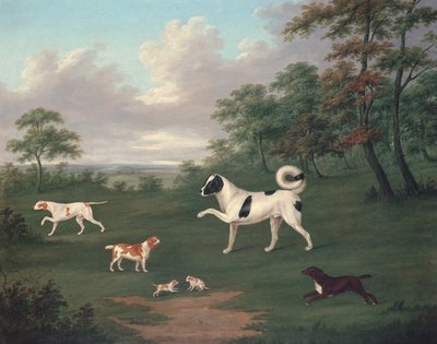 Psy sportowe w krajobrazie autorstwa J. Francis Sartorius