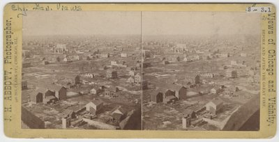Stereograf przedstawiający widok na północny-północny zachód od Water Tower po pożarze Chicago w 1871, 1871 (zdjęcie czarno-białe na uchwycie karty) autorstwa J. H. Abbott