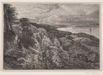 Widok z Munkebjerg na fiord Vejle autorstwa J. Hildebrand
