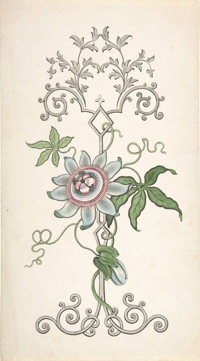Projekt dekoracji paneli skupionych na kwiatach męczennicy, 1828-40. autorstwa J Hulme