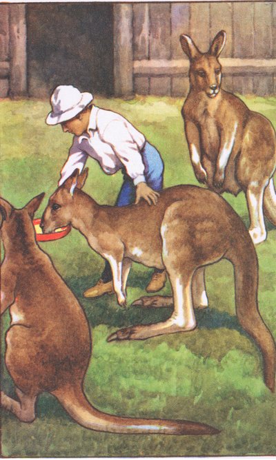 Australijski chłopiec, ze szkolnych plakatów MacMillan, ok. 1950-60 (kolor lito) autorstwa J. Macfarlane