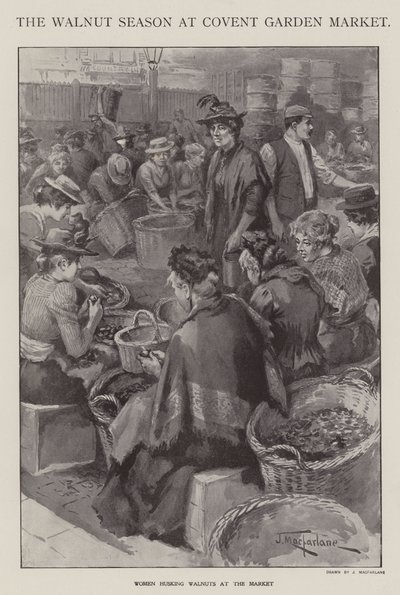 Sezon na orzechy włoskie na Covent Garden Market w Londynie (lito) autorstwa J. Macfarlane