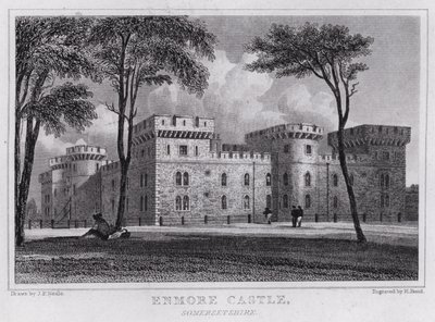Zamek Enmore, Somersetshire (grawerowanie) autorstwa John Preston Neale