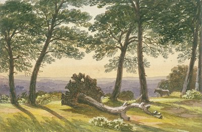 Hampstead Heath, Londyn, ok. 1830 r. autorstwa J Powell
