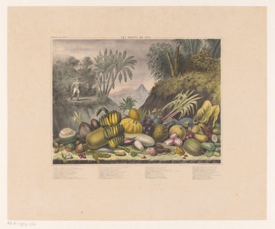 Jawajskie owoce Les fruits de Java (tytuł na obiekcie) autorstwa J. Schnell