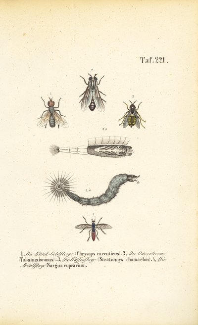  autorstwa J. W. Tenhaeff