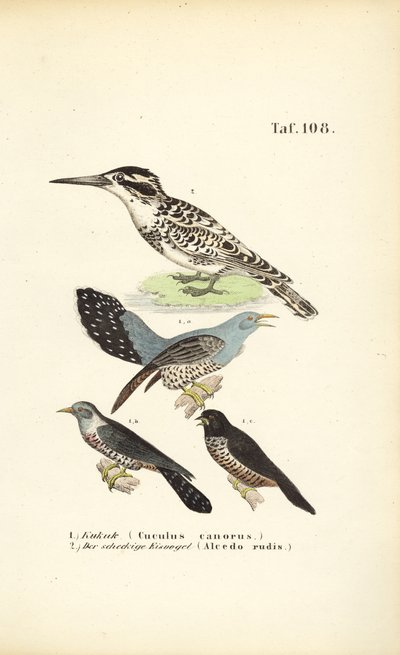  autorstwa J. W. Tenhaeff