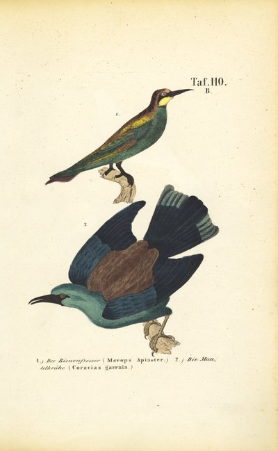 autorstwa J. W. Tenhaeff