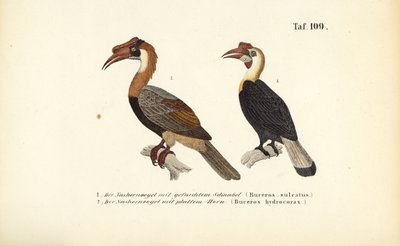  autorstwa J. W. Tenhaeff