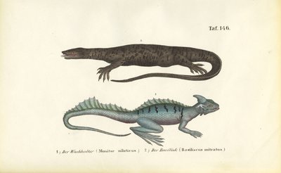  autorstwa J. W. Tenhaeff