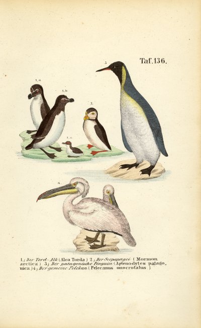  autorstwa J. W. Tenhaeff