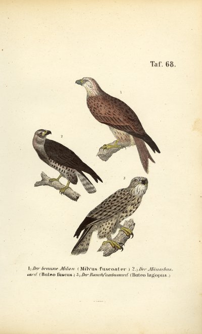  autorstwa J. W. Tenhaeff