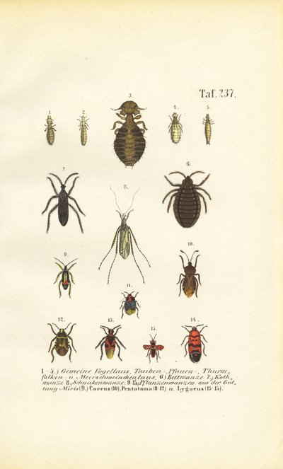  autorstwa J. W. Tenhaeff
