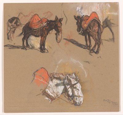 Studia osłów i muła na Grote Markt w Tangerze autorstwa Jac van Looij (signed by artist)