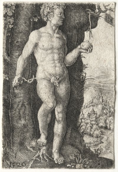 Adam, 1526. autorstwa Jacob Binck