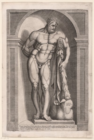 Herkules Farnese autorstwa Jacob Bos