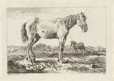 Stojący koń w krajobrazie Sześć odbitek według rysunków różnych mistrzów (tytuł serii) autorstwa Jacob Elias van Varelen