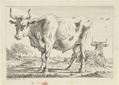 Wół stojący i leżący Sześć odbitek według rysunków różnych mistrzów (tytuł serii) autorstwa Jacob Elias van Varelen