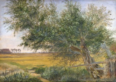 Stare Drzewo, 1842 (olej na papierze naklejony na karton) autorstwa Jacob Gensler