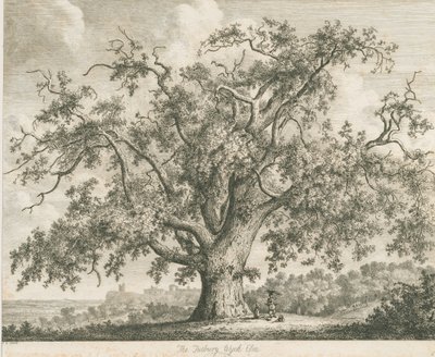 Tutbury - "Wiąz Wych": akwaforta, bd [ok. 1820] autorstwa Jacob George Strutt