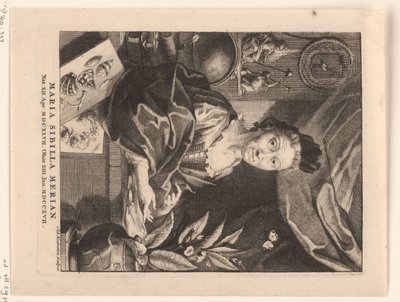 Portret van Maria Sibylla Merian Maria Sibylla Merian (tytuł na obiekcie) autorstwa Jacob Houbraken