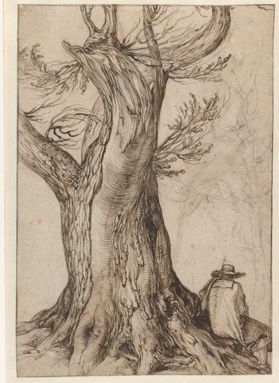 Badanie pnia drzewa autorstwa Jacob II de Gheyn