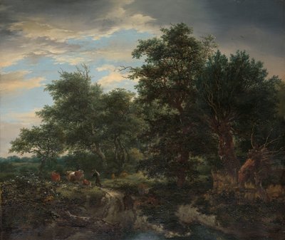 Scena leśna autorstwa Jacob van Ruisdael