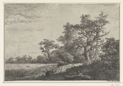 Pole kukurydzy autorstwa Jacob van Ruisdael