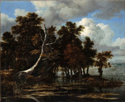 „Dęby nad jeziorem z liliami wodnymi” Obraz Jacob Isaacksz van Ruisdael (1628/29-1682) Olej na płótnie Wymiary 116,6x142 cm Staatliche Museen, Berlin autorstwa Jacob van Ruisdael