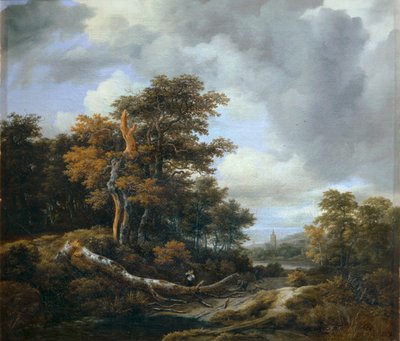 Wejście do drewnianego ... autorstwa Jacob Isaaksz. or Isaacksz. van Ruisdael