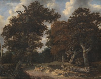 Droga przez las dębowy autorstwa Jacob van Ruisdael