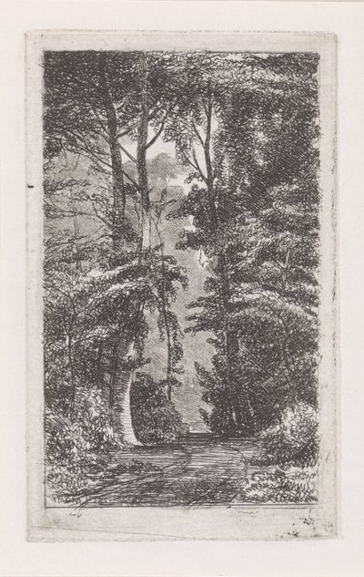 Boslaan autorstwa Jacob Jan van der Maaten