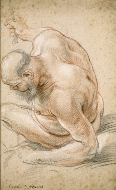 Nagi starzec siedzący, oparty na przedramieniu, zwrócony w lewo, ok. 1640 autorstwa Jacob Jordaens