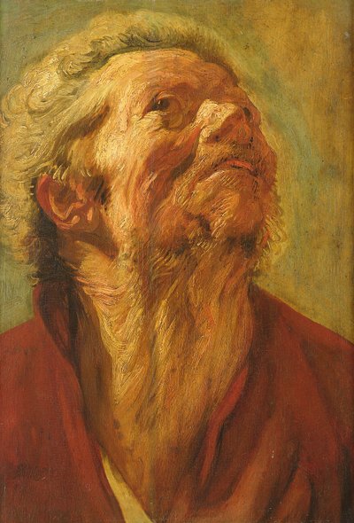 Studium Głowy lub Głowy Apostoła, ok. 1620 autorstwa Jacob Jordaens