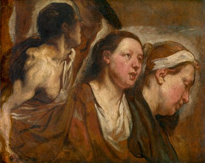 Dwie kobiece głowy i tors wojownika autorstwa Jacob Jordaens