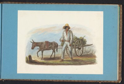 Mężczyzna z wózkiem z bananami Album z rysunkami Surinamu, s.44 (50) (tytuł serii) autorstwa Jacob Marius Adriaan Martini van Geffen