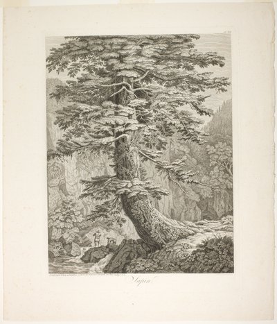 Jodła autorstwa Jacob Philipp Hackert