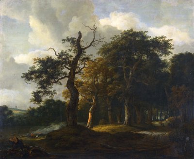 Droga przez las dębowy autorstwa Jacob van Ruisdael